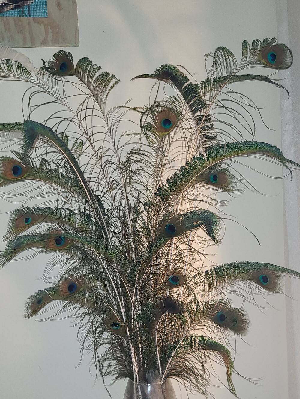 Natural Peacock Feather Arrangement -